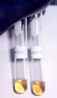 Americium(IV) und Americium(VI)