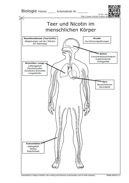 Teer und Nicotin im menschlichen Körper