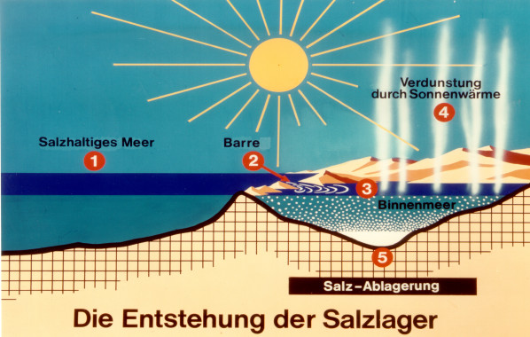 Entstehung der Salzlagerstätten