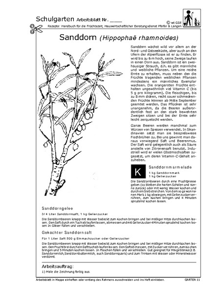 Hier klicken, um das Arbeitsblatt als PDF-Dokument anzeigen zu lassen!