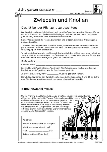 Hier klicken, um das Arbeitsblatt als PDF-Dokument anzeigen zu lassen!