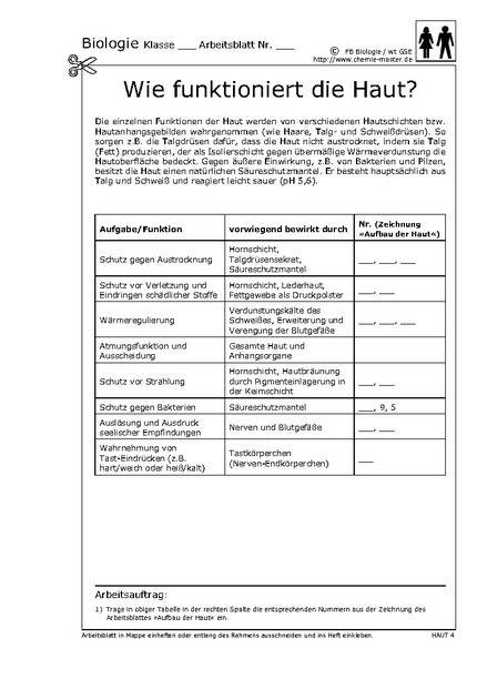 Hier klicken, um das Arbeitsblatt als PDF-Dokument anzeigen zu lassen!