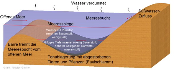 Erdölentstehung